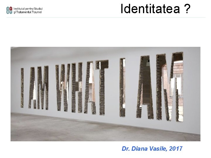 Identitatea ? Dr. Diana Vasile, 2017 