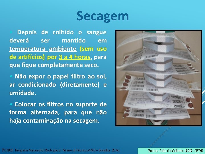 Secagem • Depois de colhido o sangue deverá ser mantido em temperatura ambiente (sem