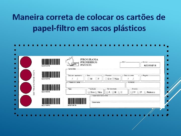 Maneira correta de colocar os cartões de papel-filtro em sacos plásticos 