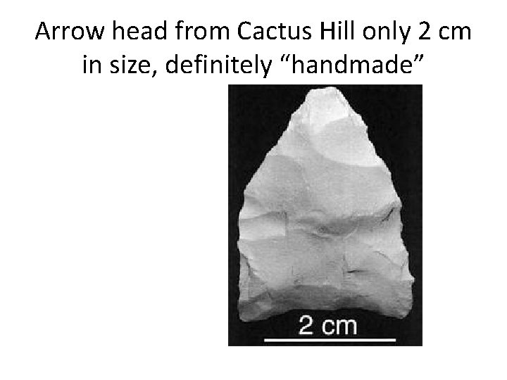 Arrow head from Cactus Hill only 2 cm in size, definitely “handmade” 