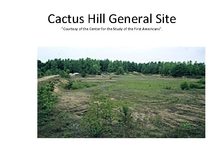 Cactus Hill General Site “Courtesy of the Center for the Study of the First