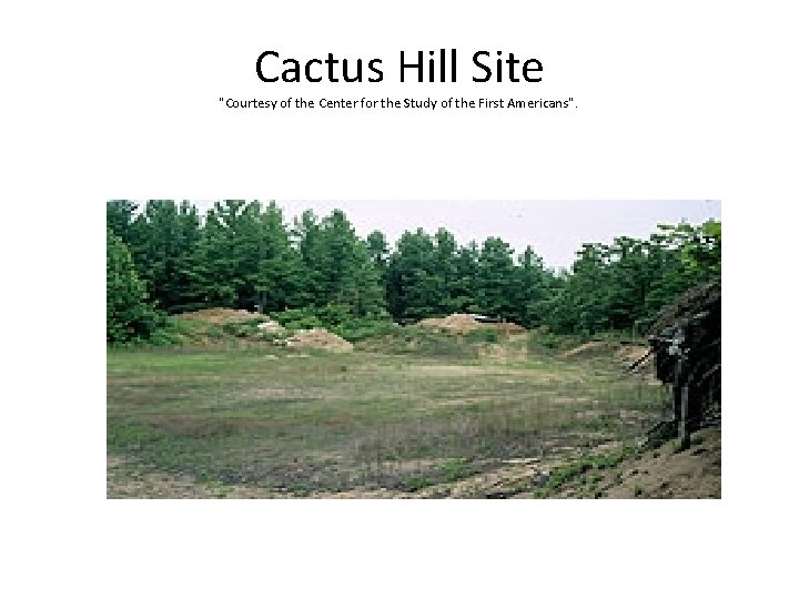 Cactus Hill Site "Courtesy of the Center for the Study of the First Americans".