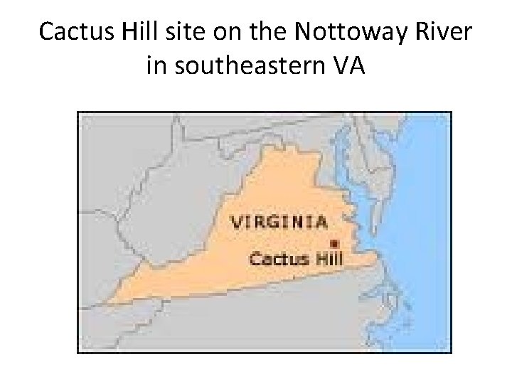 Cactus Hill site on the Nottoway River in southeastern VA 