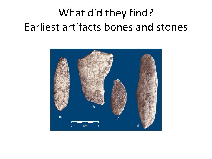 What did they find? Earliest artifacts bones and stones 