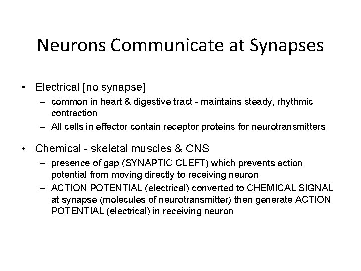 Neurons Communicate at Synapses • Electrical [no synapse] – common in heart & digestive