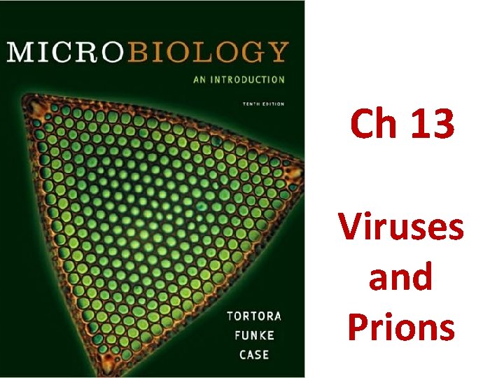 Ch 13 Viruses and Prions 