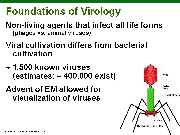 Foundations of Virology Non-living agents that infect all life forms (phages vs. animal viruses)