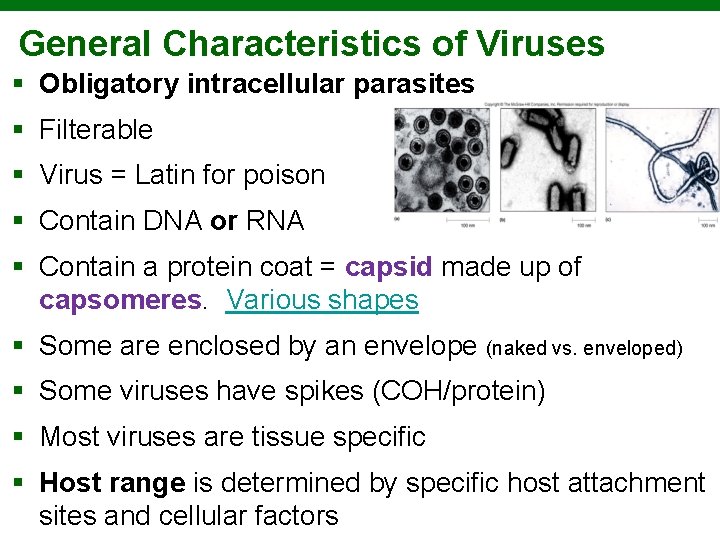 General Characteristics of Viruses § Obligatory intracellular parasites § Filterable § Virus = Latin