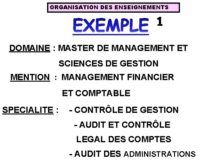ORGANISATION DES ENSEIGNEMENTS DOMAINE : MASTER DE MANAGEMENT ET SCIENCES DE GESTION MENTION :
