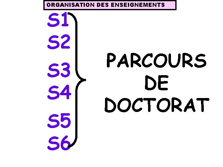 ORGANISATION DES ENSEIGNEMENTS S 1 S 2 S 3 S 4 S 5 S