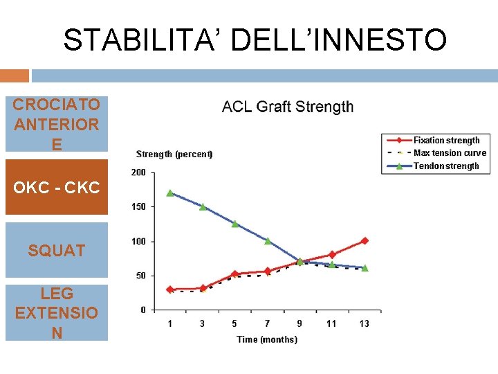 STABILITA’ DELL’INNESTO CROCIATO ANTERIOR E OKC - CKC SQUAT LEG EXTENSIO N 