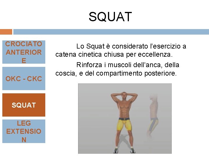SQUAT CROCIATO ANTERIOR E OKC - CKC SQUAT LEG EXTENSIO N Lo Squat è