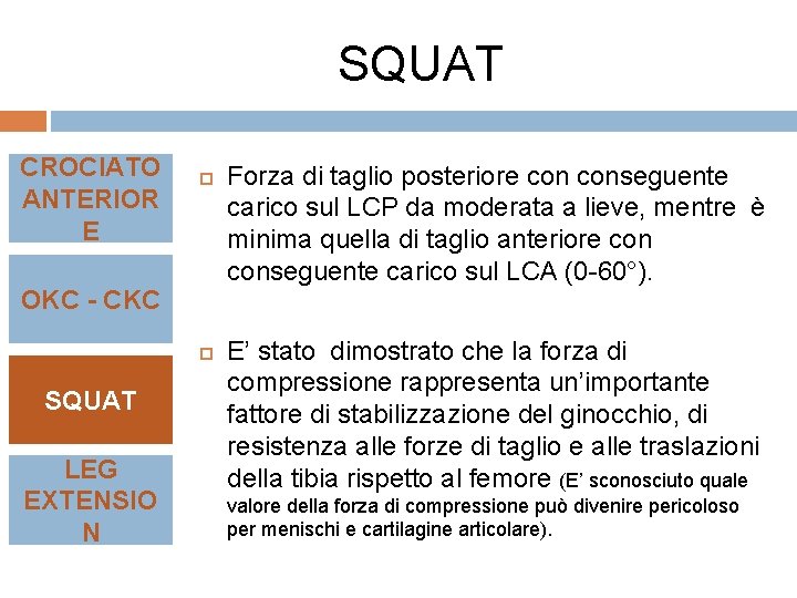 SQUAT CROCIATO ANTERIOR E OKC - CKC SQUAT LEG EXTENSIO N Forza di taglio