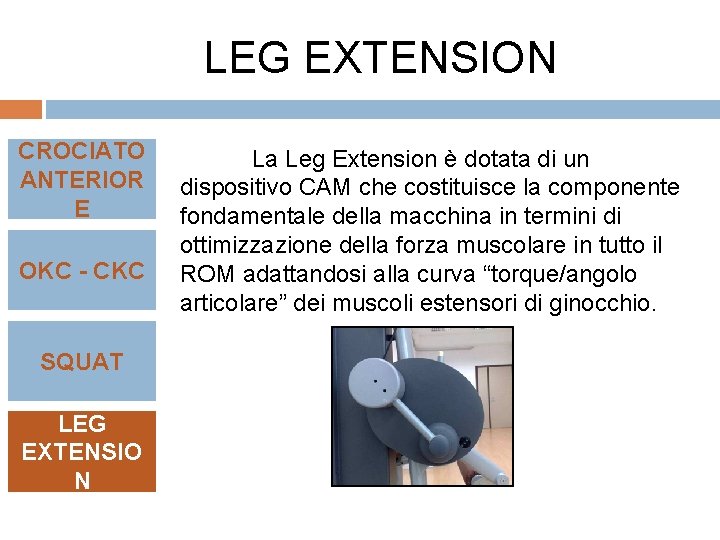 LEG EXTENSION CROCIATO ANTERIOR E OKC - CKC SQUAT LEG EXTENSIO N La Leg