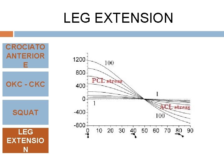 LEG EXTENSION CROCIATO ANTERIOR E OKC - CKC SQUAT LEG EXTENSIO N 