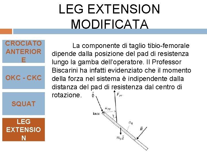 LEG EXTENSION MODIFICATA CROCIATO ANTERIOR E OKC - CKC SQUAT LEG EXTENSIO N La