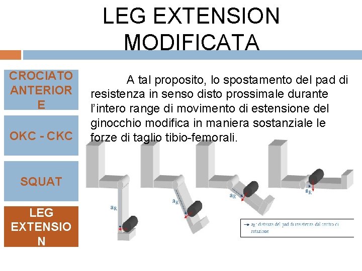 LEG EXTENSION MODIFICATA CROCIATO ANTERIOR E OKC - CKC SQUAT LEG EXTENSIO N A