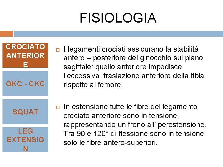 FISIOLOGIA CROCIATO ANTERIOR E OKC - CKC SQUAT LEG EXTENSIO N I legamenti crociati