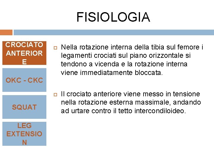 FISIOLOGIA CROCIATO ANTERIOR E OKC - CKC SQUAT LEG EXTENSIO N Nella rotazione interna