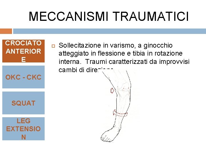 MECCANISMI TRAUMATICI CROCIATO ANTERIOR E OKC - CKC SQUAT LEG EXTENSIO N Sollecitazione in