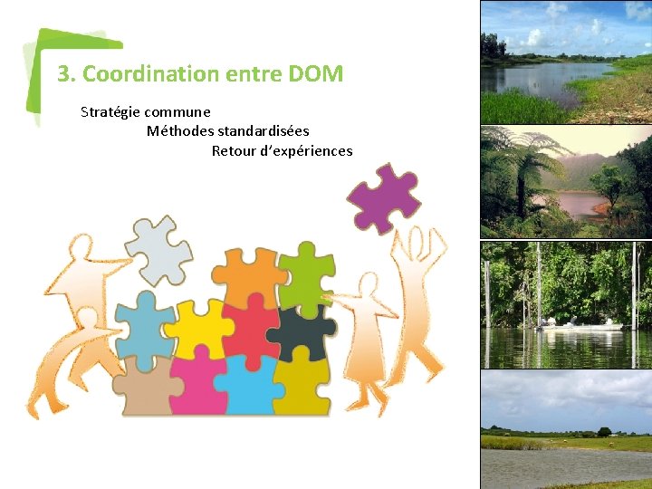 3. Coordination entre DOM Stratégie commune Méthodes standardisées Retour d’expériences 