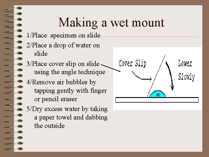 Making a wet mount 1/Place specimen on slide 2/Place a drop of water on