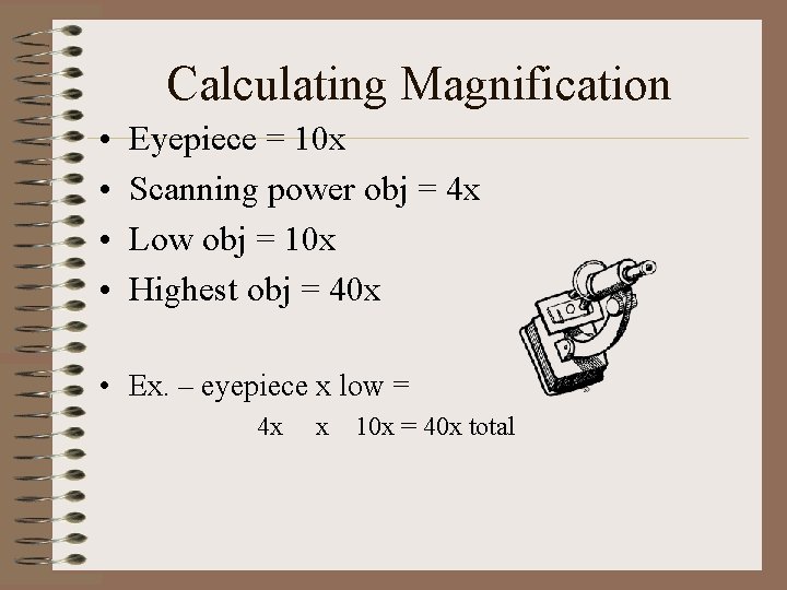 Calculating Magnification • • Eyepiece = 10 x Scanning power obj = 4 x