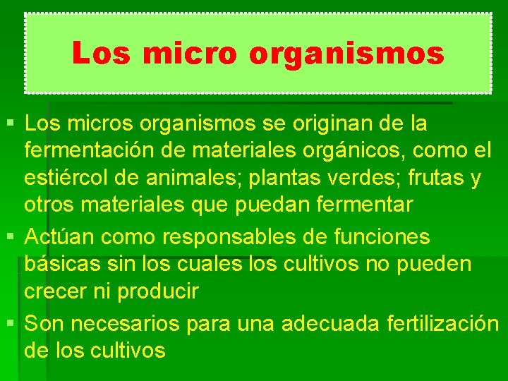 Los micro organismos § Los micros organismos se originan de la fermentación de materiales