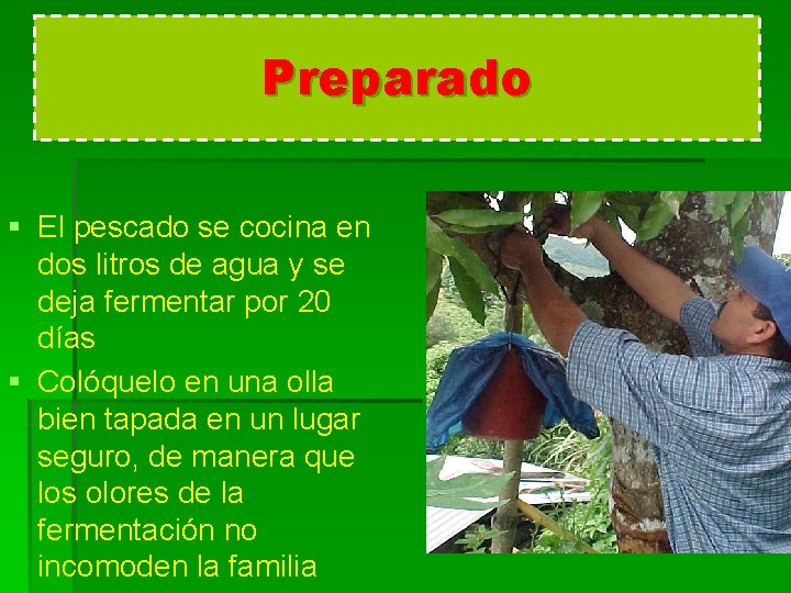 Preparado § El pescado se cocina en dos litros de agua y se deja