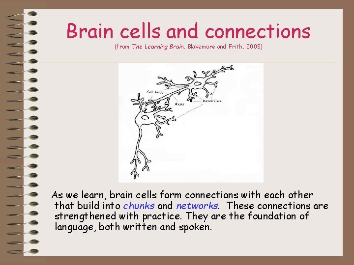 Brain cells and connections (from The Learning Brain, Blakemore and Frith, 2005) As we