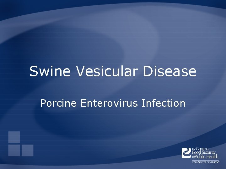 Swine Vesicular Disease Porcine Enterovirus Infection 