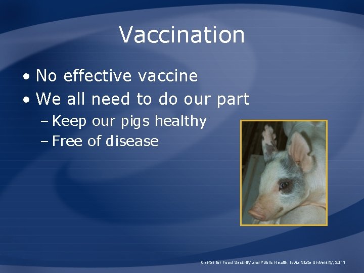 Vaccination • No effective vaccine • We all need to do our part –
