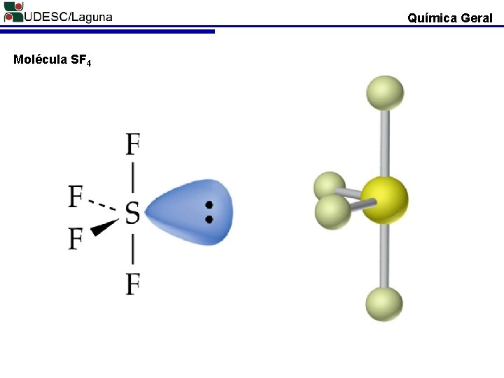 Química Geral Molécula SF 4 