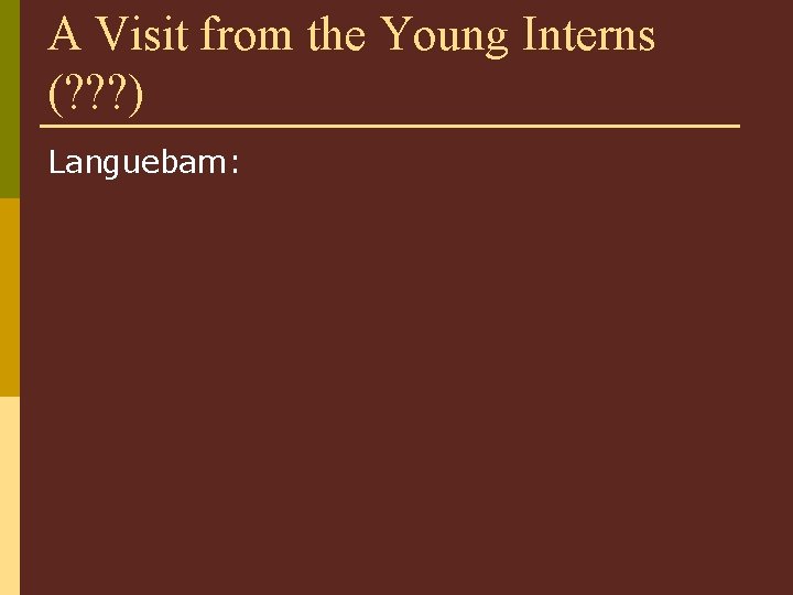 A Visit from the Young Interns (? ? ? ) Languebam: 