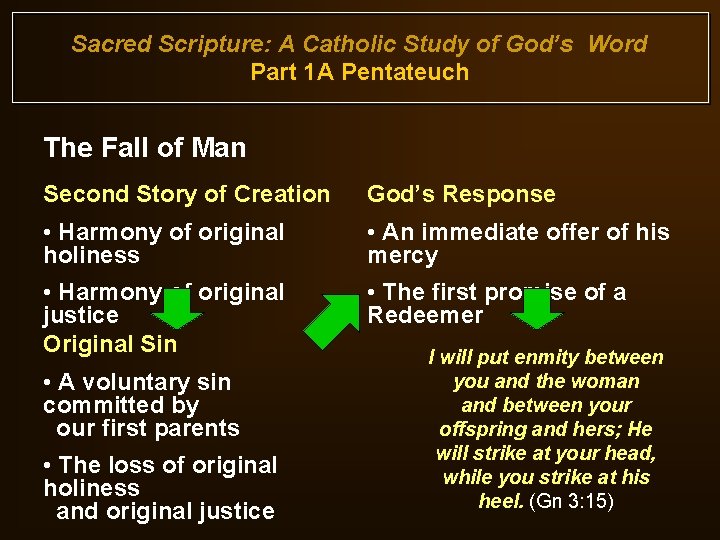 Sacred Scripture: A Catholic Study of God’s Word Part 1 A Pentateuch The Fall