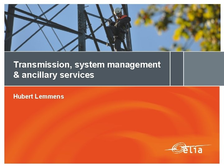 Transmission, system management & ancillary services Hubert Lemmens 