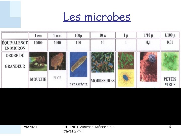 Les microbes 12/4/2020 Dr BINET Vanessa, Médecin du travail SPMT 6 