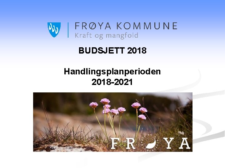 BUDSJETT 2018 Handlingsplanperioden 2018 -2021 