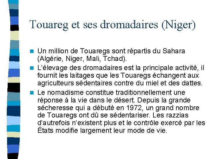 Touareg et ses dromadaires (Niger) Un million de Touaregs sont répartis du Sahara (Algérie,