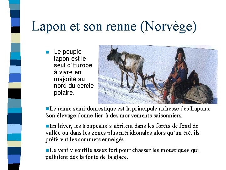 Lapon et son renne (Norvège) n Le peuple lapon est le seul d’Europe à