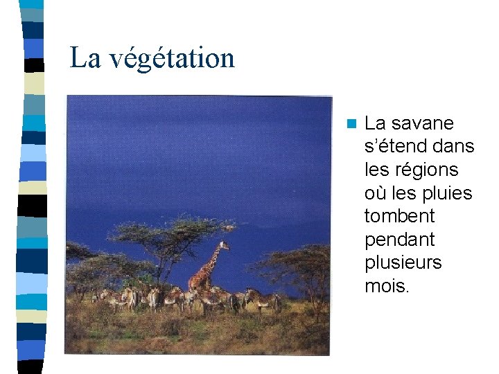 La végétation n La savane s’étend dans les régions où les pluies tombent pendant