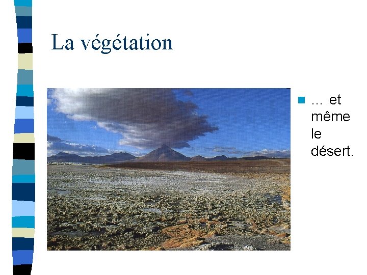 La végétation n … et même le désert. 