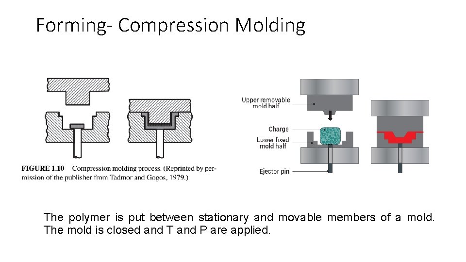 Forming- Compression Molding The polymer is put between stationary and movable members of a