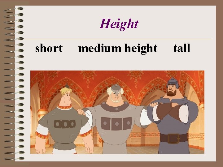 Height short medium height tall 