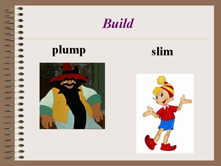 Build plump slim 