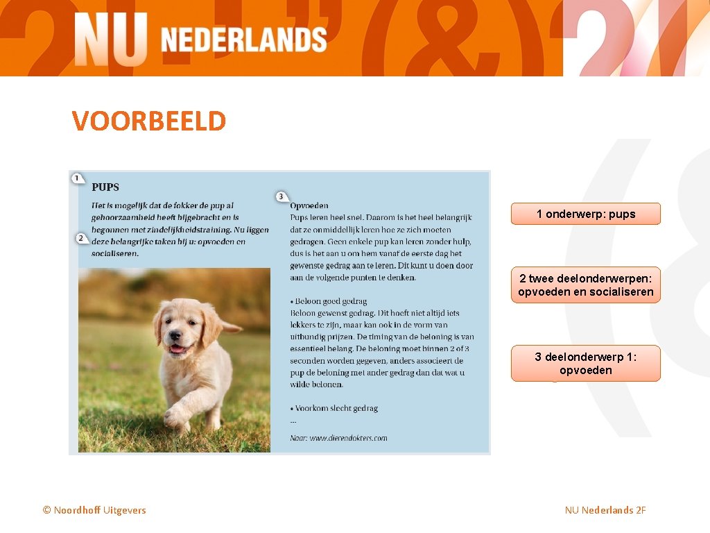 VOORBEELD 1 onderwerp: pups 2 twee deelonderwerpen: opvoeden en socialiseren 3 deelonderwerp 1: opvoeden