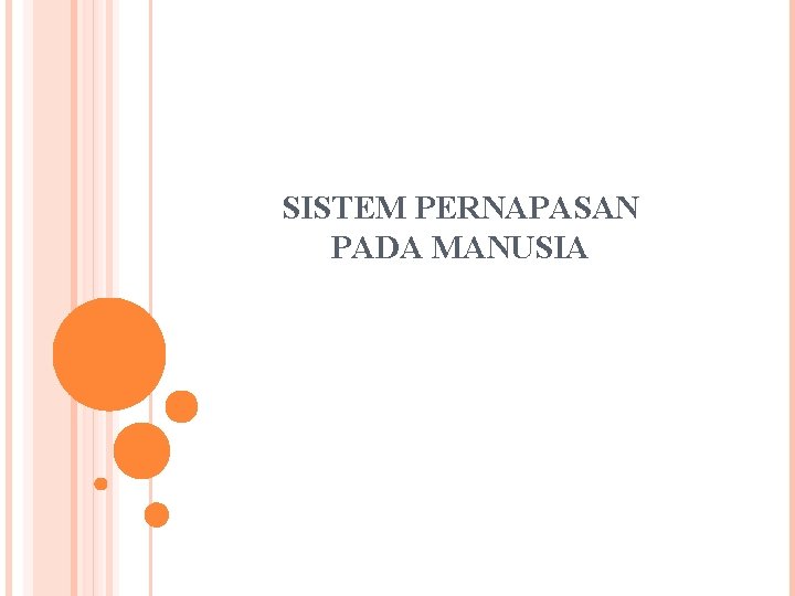 SISTEM PERNAPASAN PADA MANUSIA 