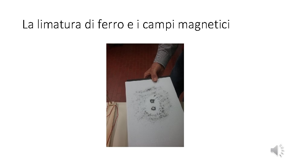 La limatura di ferro e i campi magnetici 