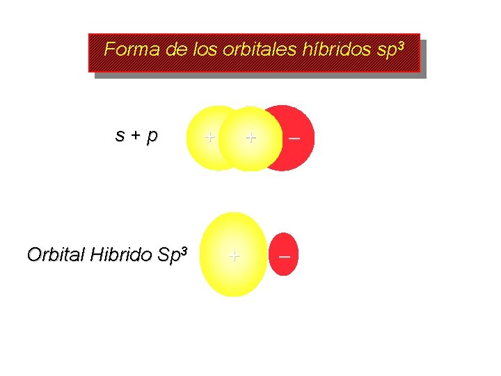 Forma de los orbitales híbridos sp 3 s+p Orbital Hibrido Sp 3 + +