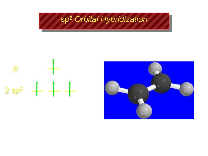 sp 2 Orbital Hybridization p 2 sp 2 